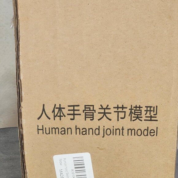 Human Hand Articulated Joint Model on Base - Picture 15 of 16
